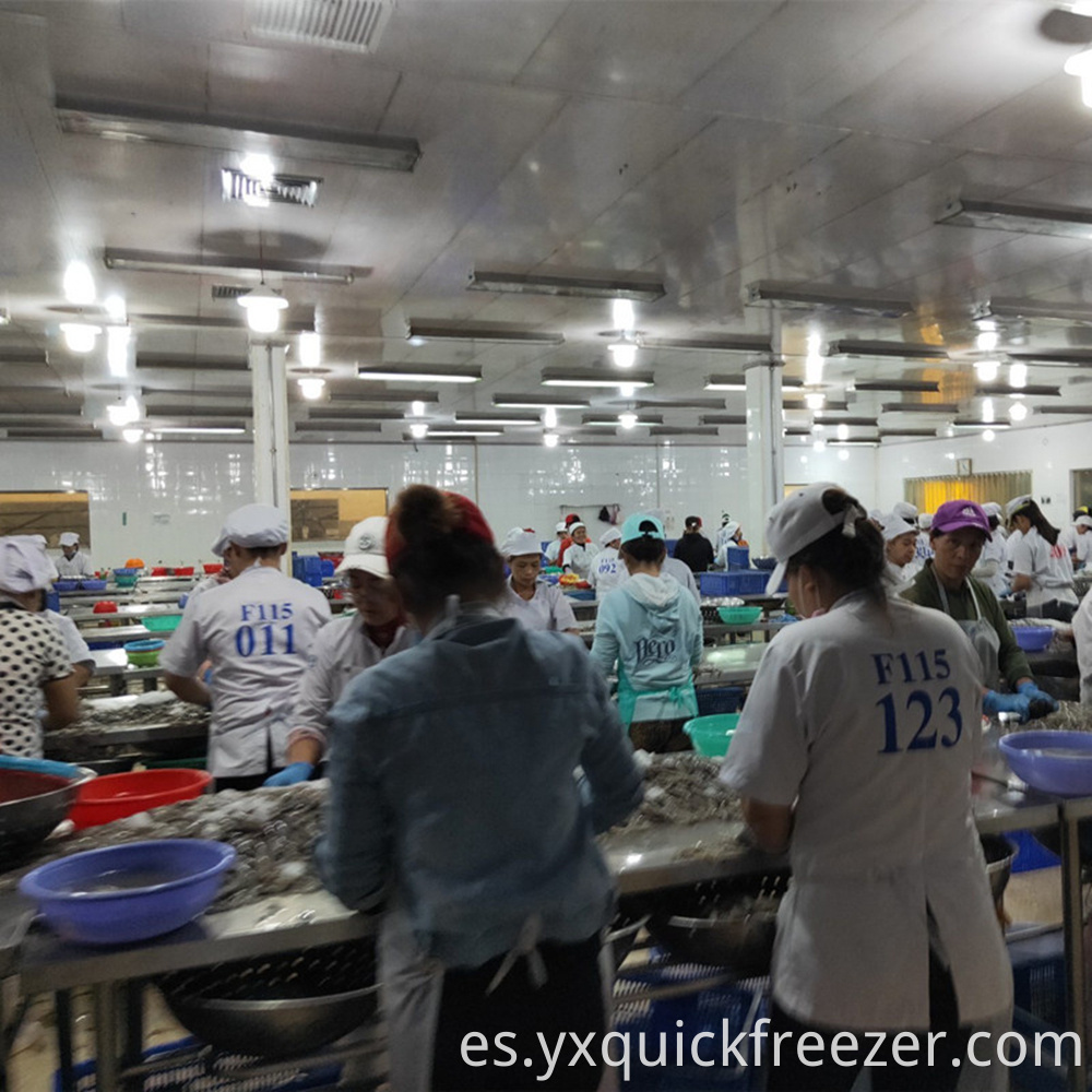 Shrimp Production Line